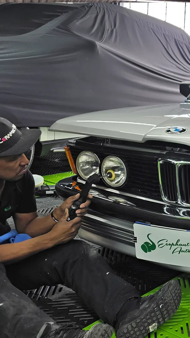 Trabajo Auto Detailing Ecophant Auto 2