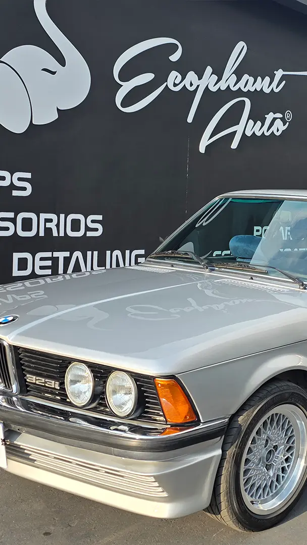 Trabajo Auto Detailing Ecophant Auto 3