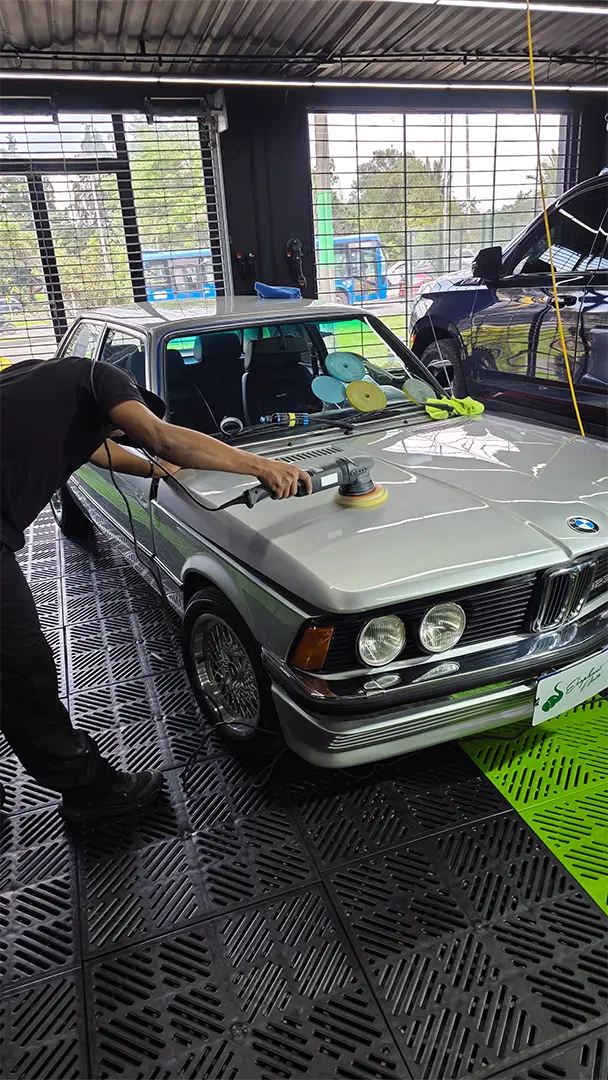 Trabajo Auto Detailing Ecophant Auto 1