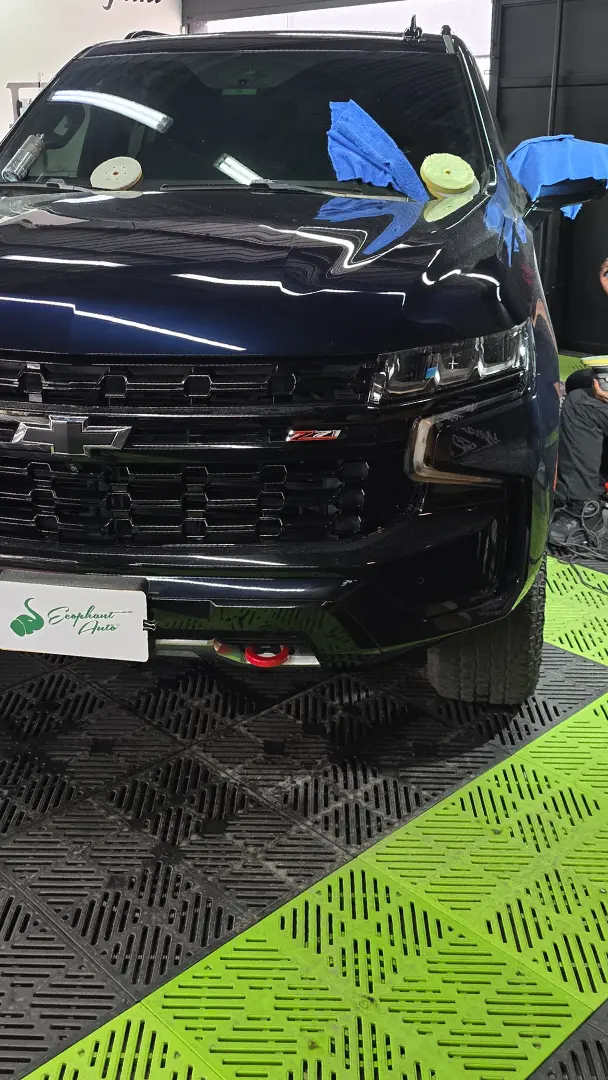 Trabajo Auto Detailing Ecophant Auto 4