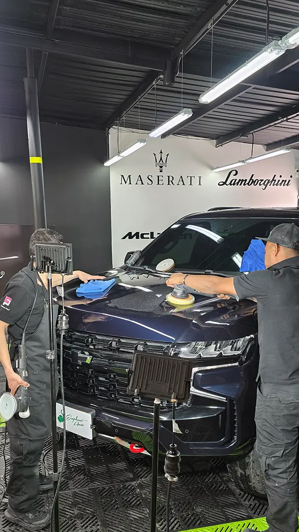 Trabajo Auto Detailing Ecophant Auto 5