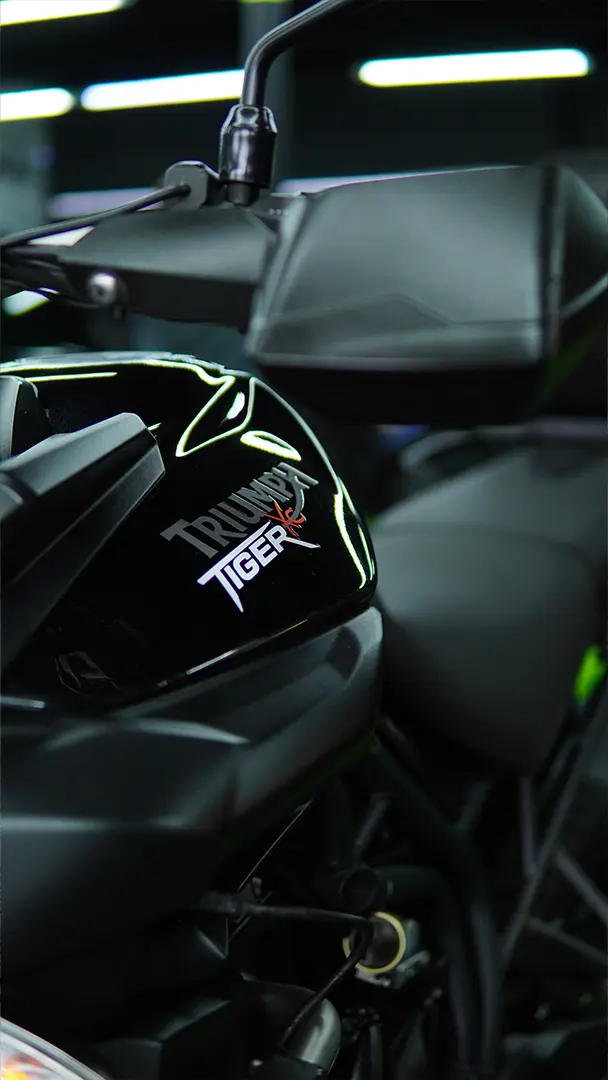 Trabajo Auto Detailing Ecophant Auto 8