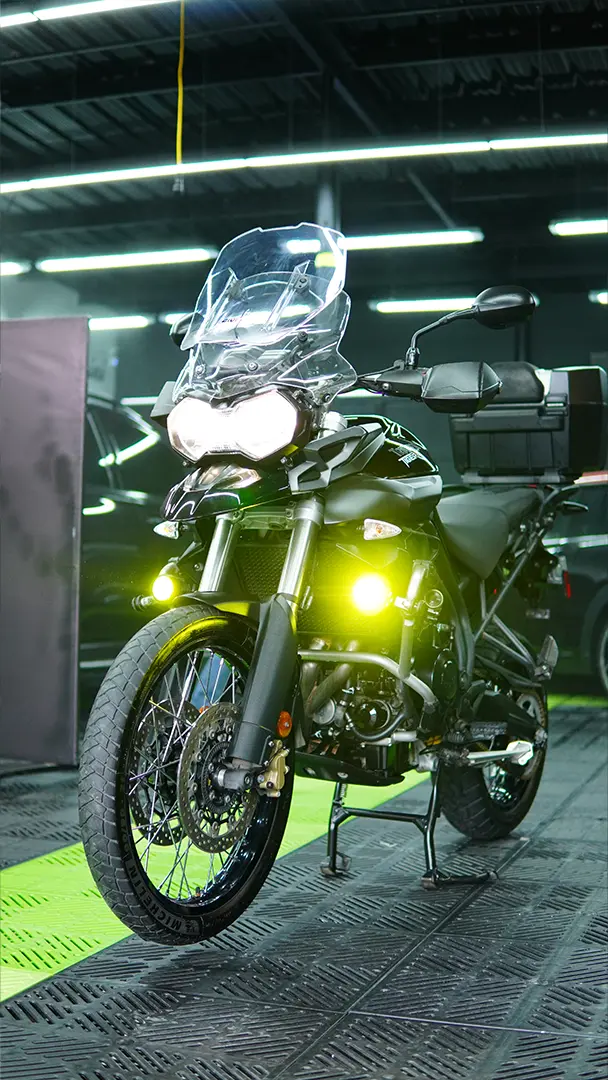 Trabajo Auto Detailing Ecophant Auto 9