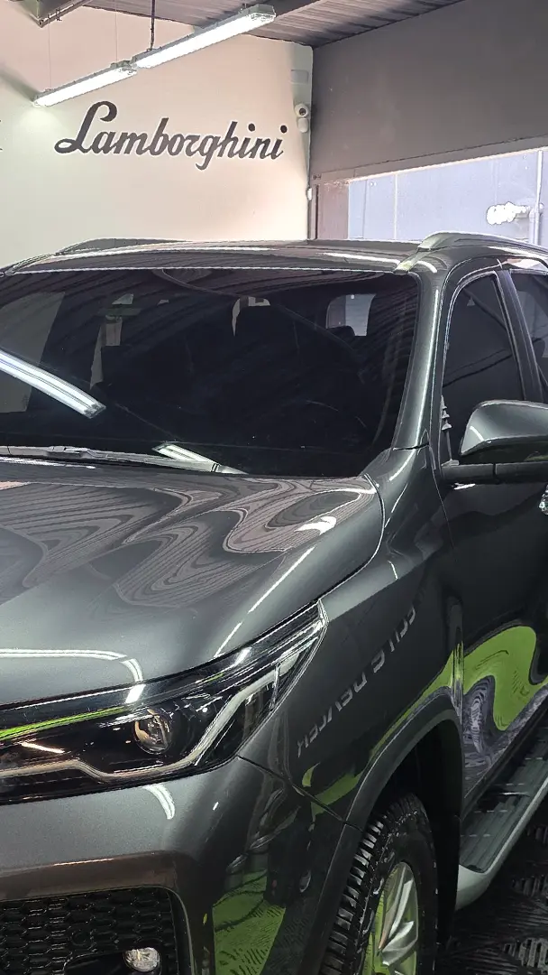 Trabajo Auto Detailing Ecophant Auto 10