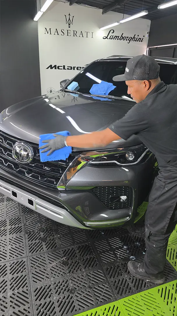 Trabajo Auto Detailing Ecophant Auto 12