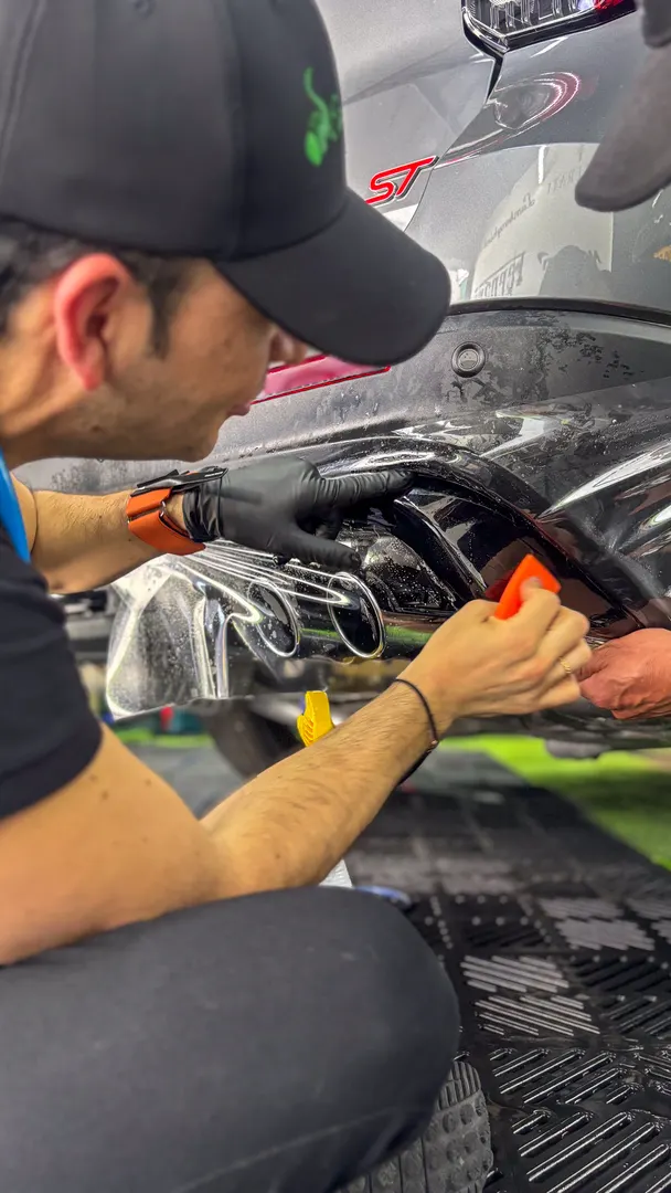 Trabajo PPF Ecophant Auto 1