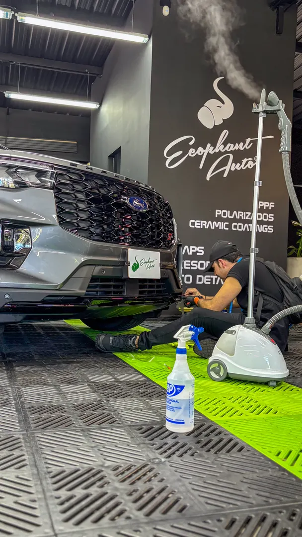 Trabajo PPF Ecophant Auto 4