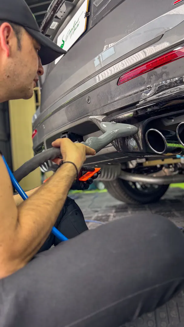 Trabajo PPF Ecophant Auto 5