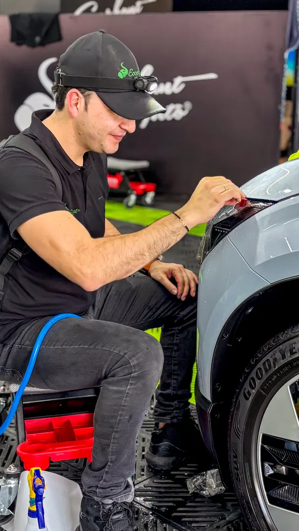 Trabajo PPF Ecophant Auto 12