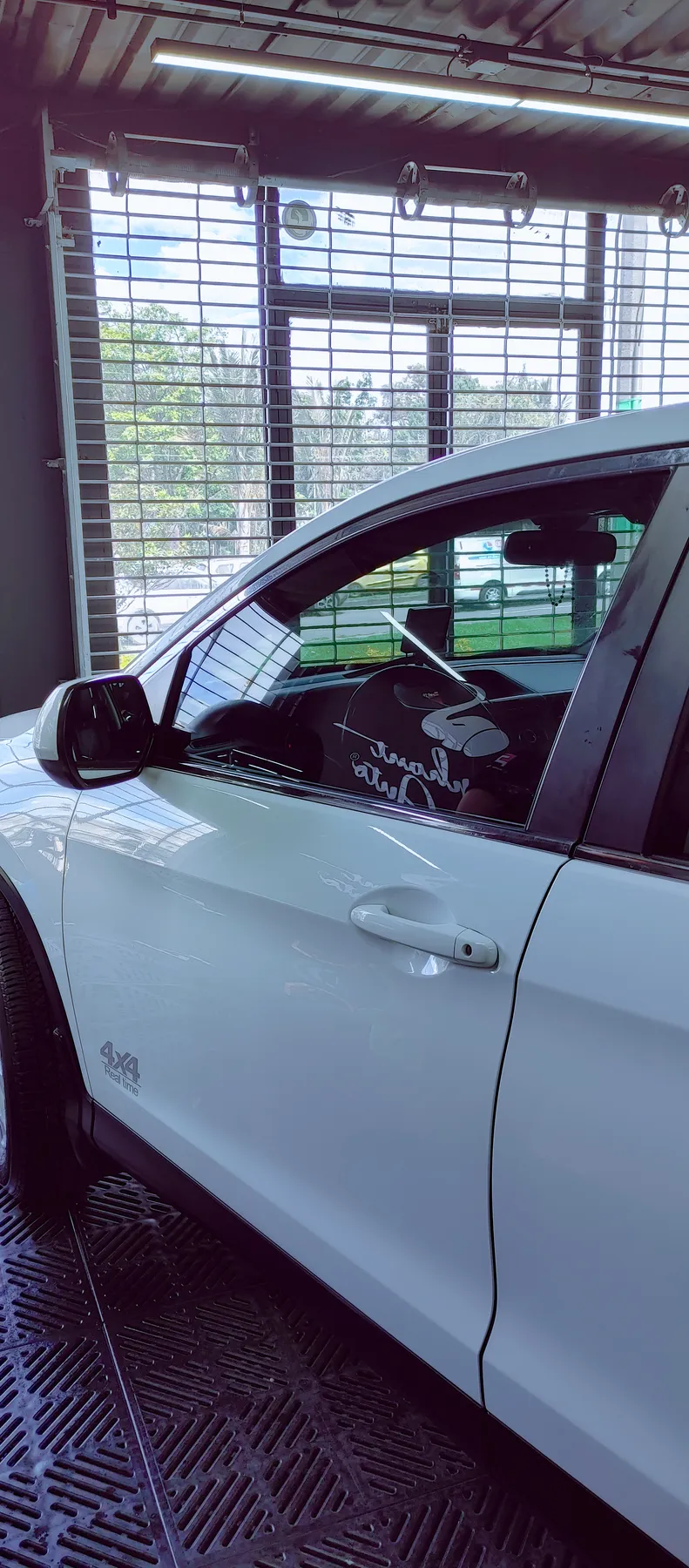 Trabajo Polarizado Ecophant Auto 4