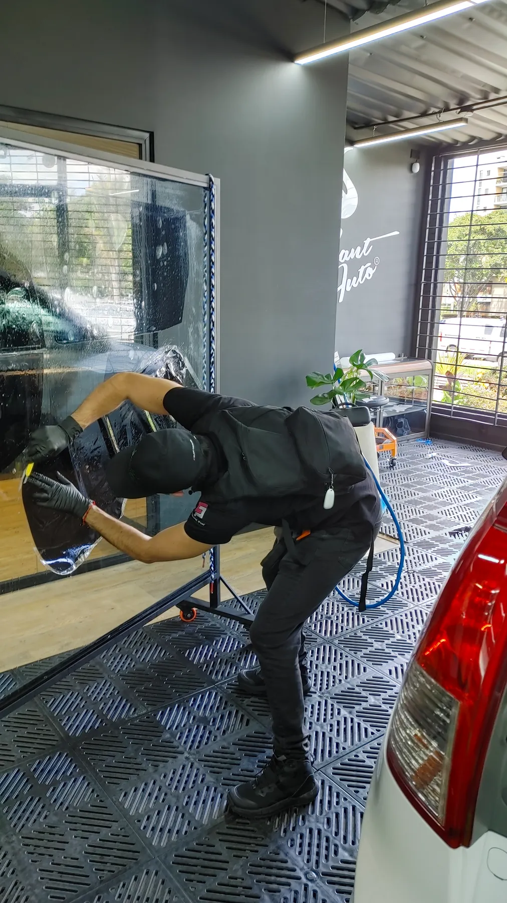 Trabajo Polarizado Ecophant Auto 5